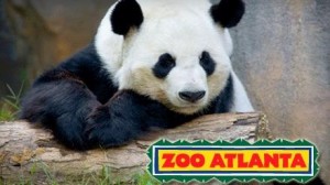 zoo-atlanta-coupons-atlanta