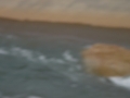 2016-08-21 16.04.38
