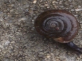2016-08-21 20.56.37