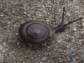 2016-08-21 20.56.55