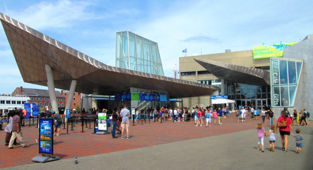 How to Spend a Day at the New England Aquarium